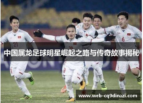 中国属龙足球明星崛起之路与传奇故事揭秘