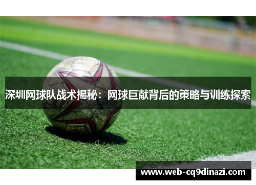 深圳网球队战术揭秘：网球巨献背后的策略与训练探索