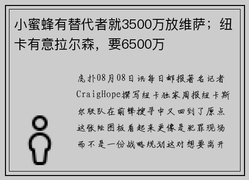 小蜜蜂有替代者就3500万放维萨；纽卡有意拉尔森，要6500万